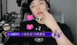 网红黑料是什么意思 黑料是什么,网络舆论下的真相与误解