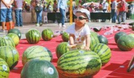 吃瓜每日大赛 哪些娱乐新闻最受欢迎,盘点吃瓜每日大赛中最受欢迎的娱乐新闻